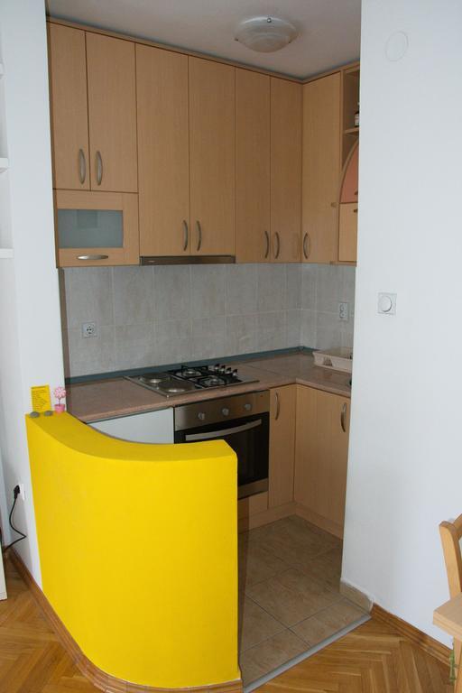 Studio Apartment In Novi Sad Center Esterno foto